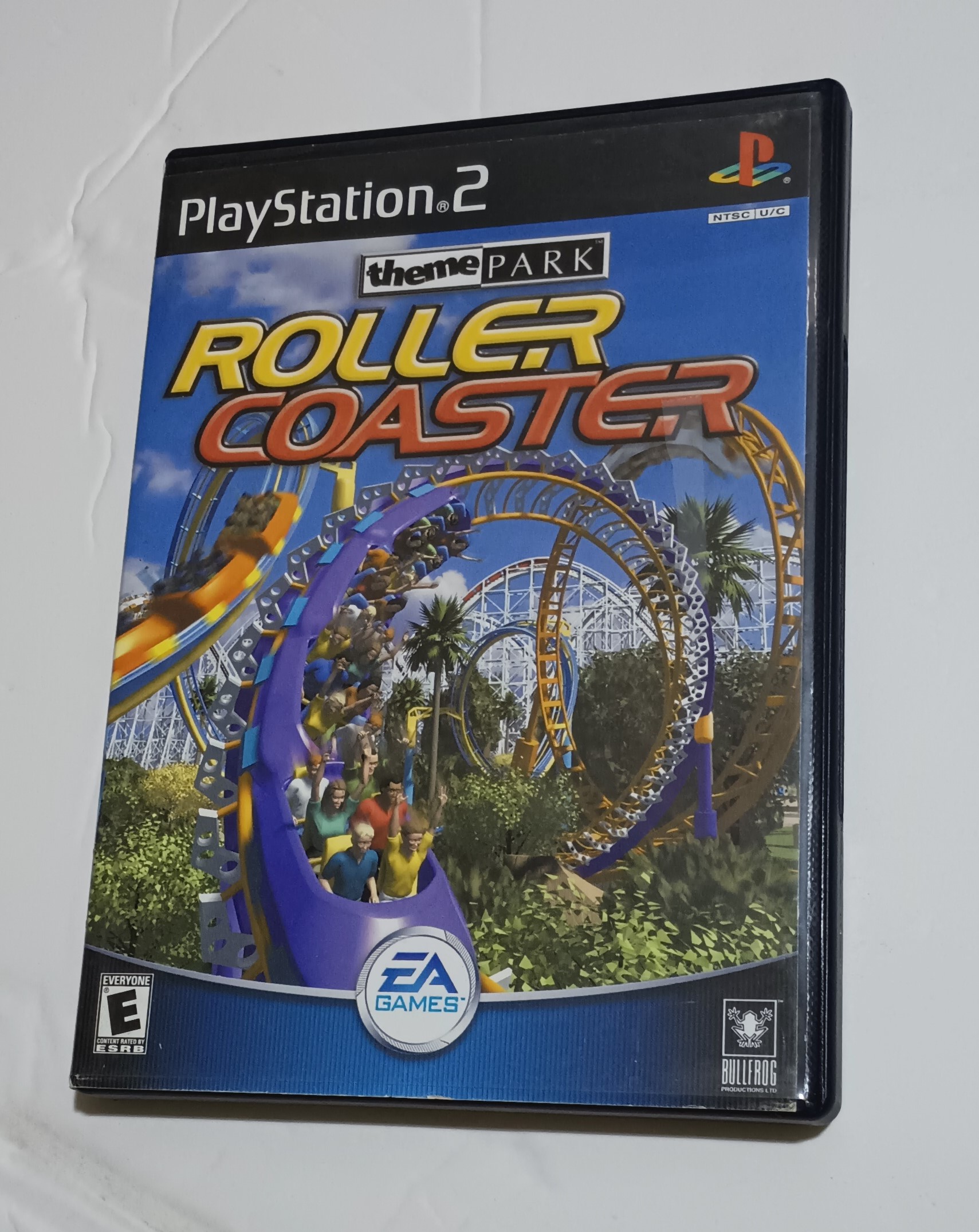 Theme Park Roller Coaster